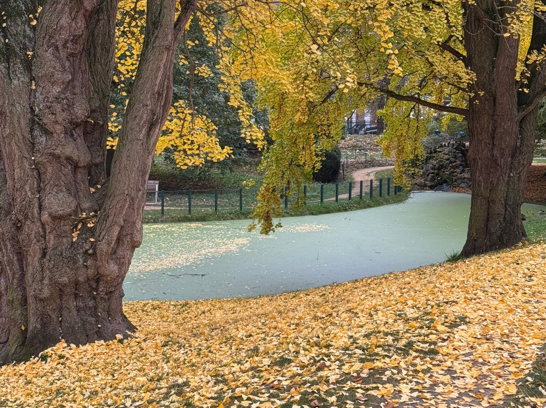 Sint-Donatuspark-鲁汶必去景点