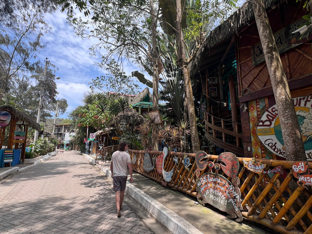 Balsa Surf Camp主图