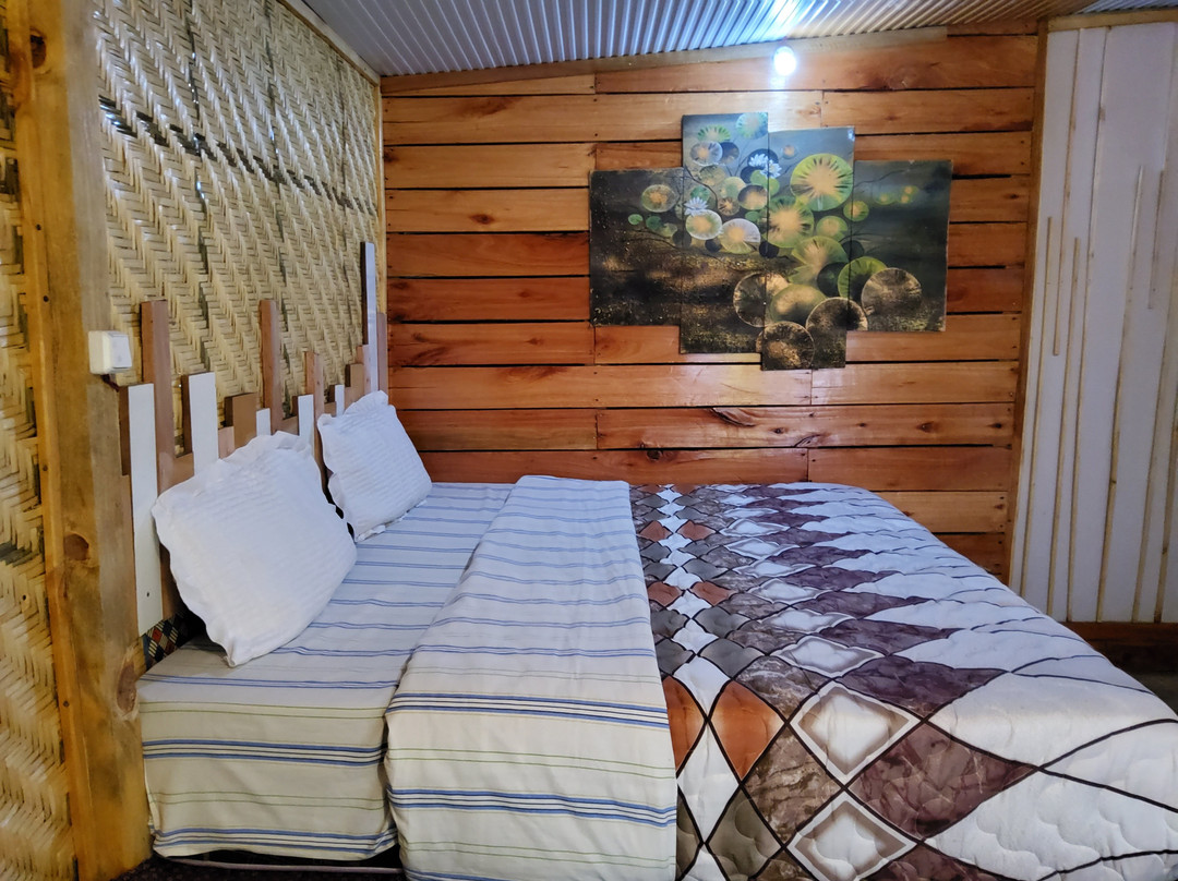 Volcanoes Forest Camp主图