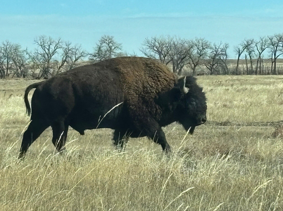 Rocky Mountain Arsenal National Wildlife Refuge景点图片