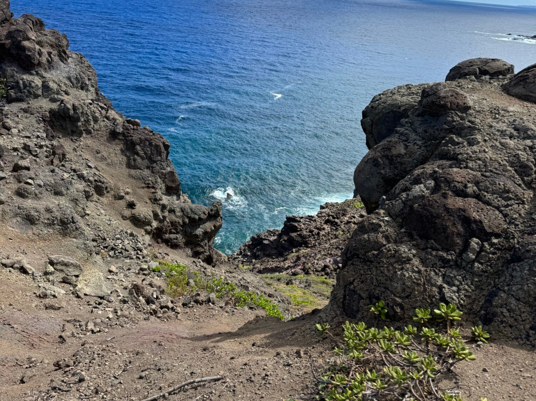 Noahs Hideaway Luxury B&B主图