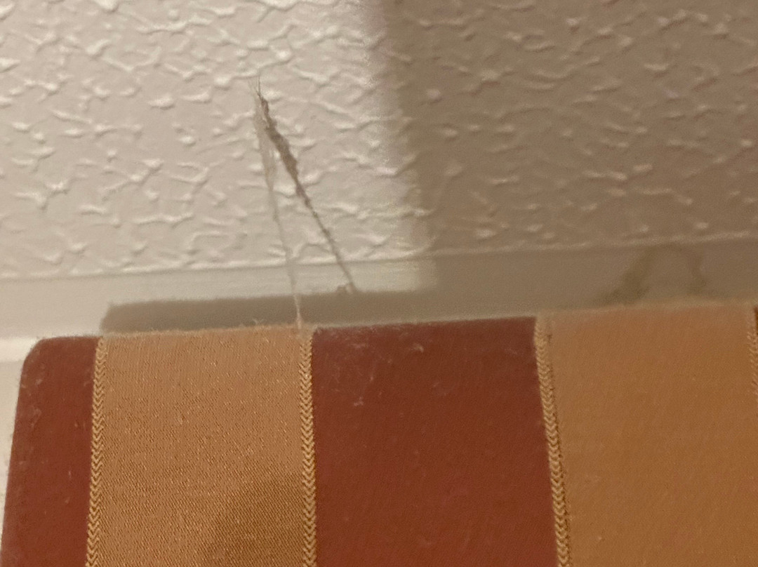 Bosworth Hall Hotel & Spa主图