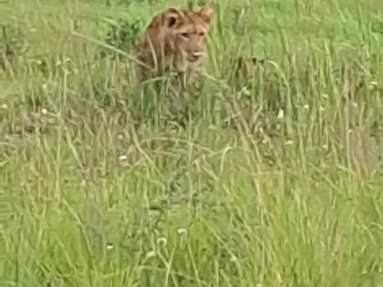 Explore Wildlife Africa-吉佳利必去景点