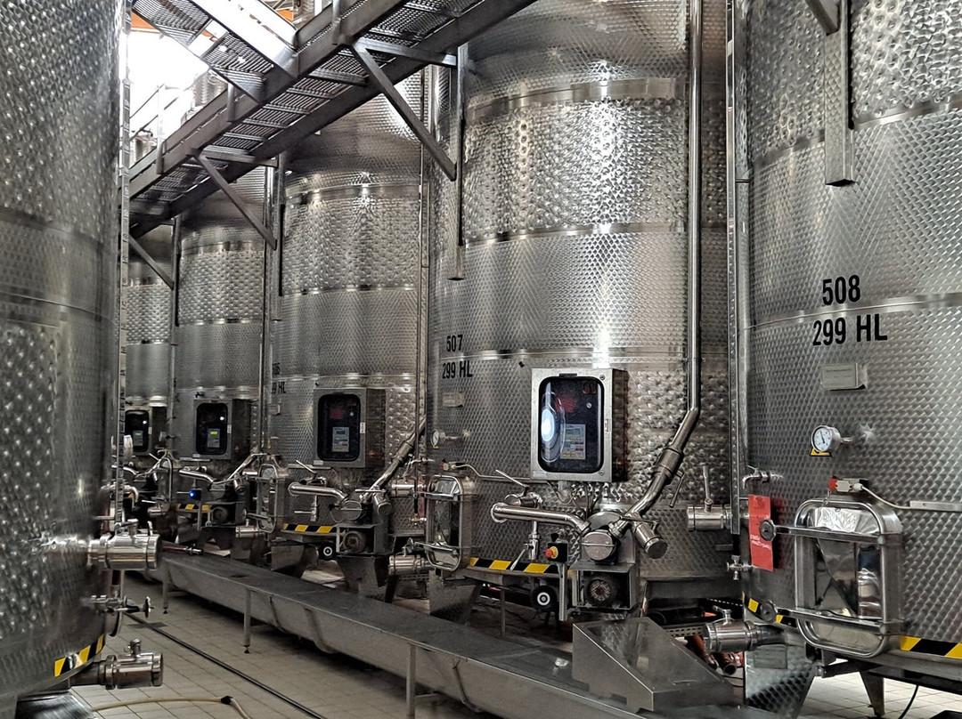 Cantina Sociale Di Avio景点图片