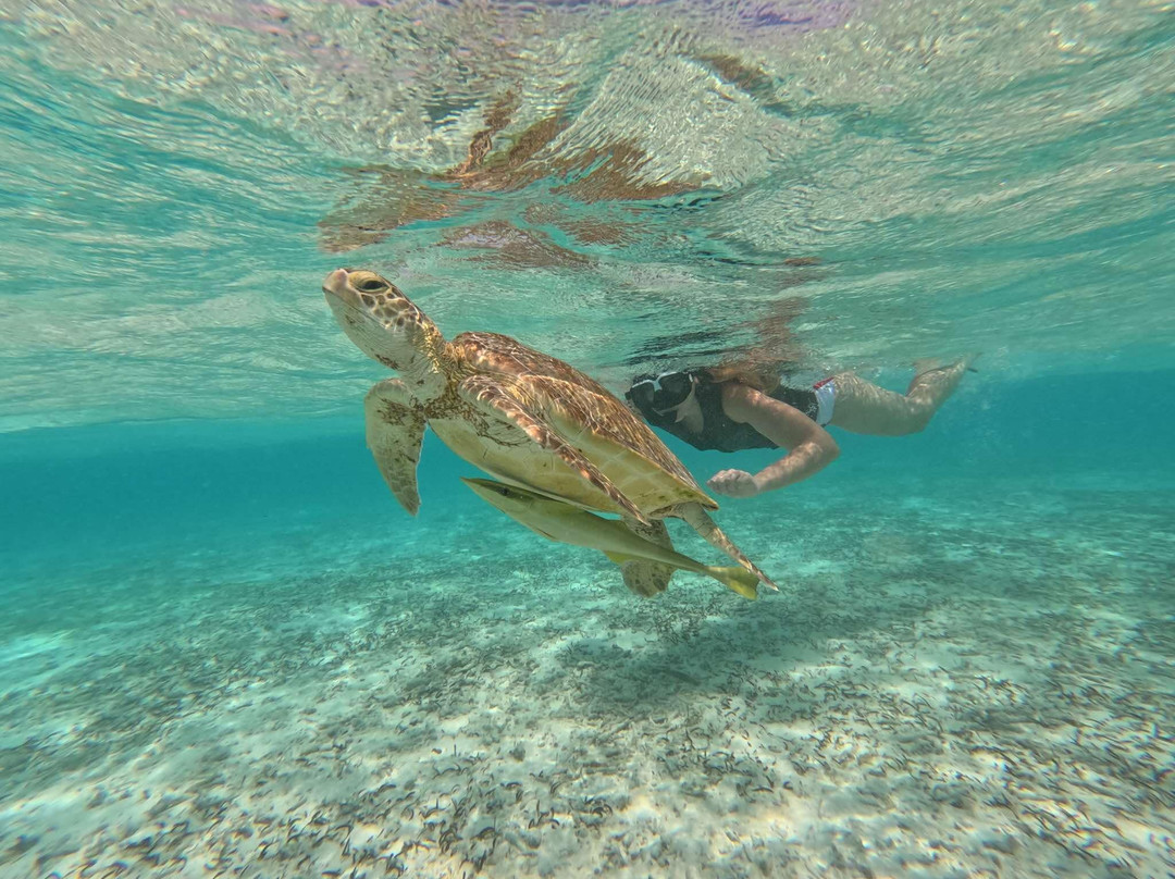 Guraidhoo Excursions & Water Sports景点图片