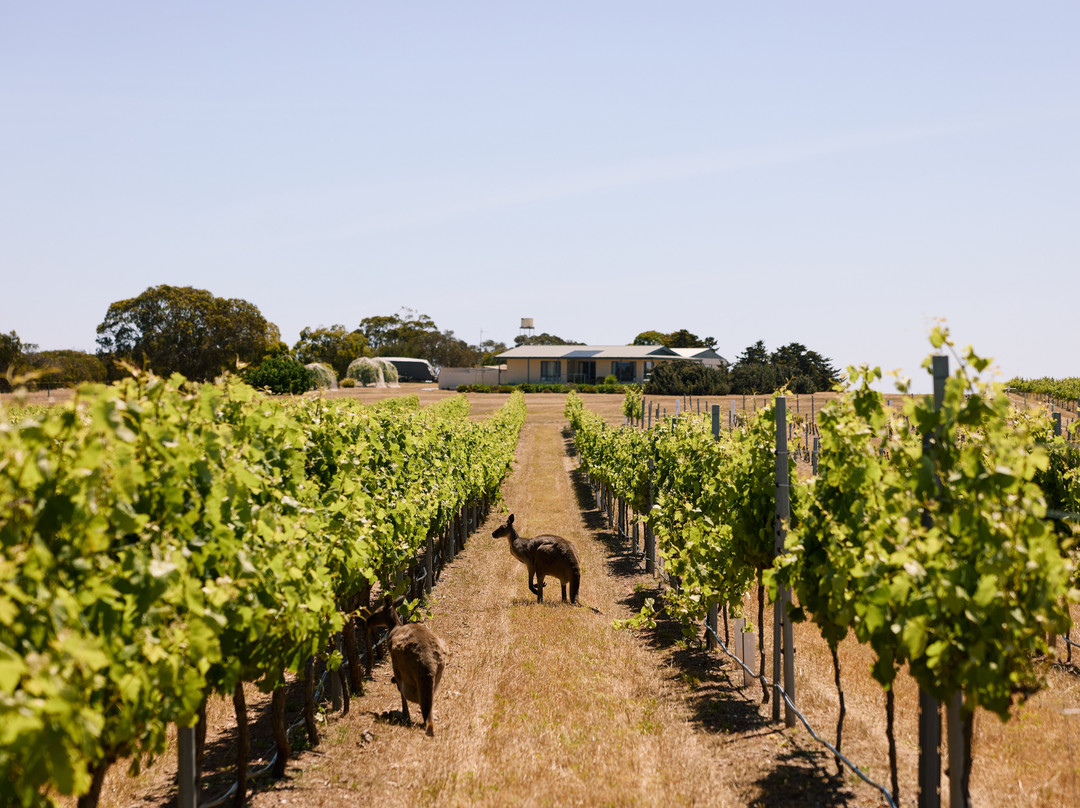 Teakle Wines-Port Lincoln必去景点