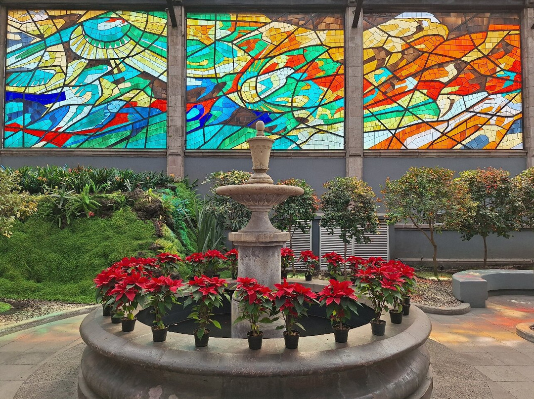 Cosmovitral Jardín Botánico景点图片