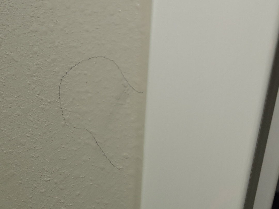 La Quinta Inn & Suites by Wyndham Starkville at MSU主图