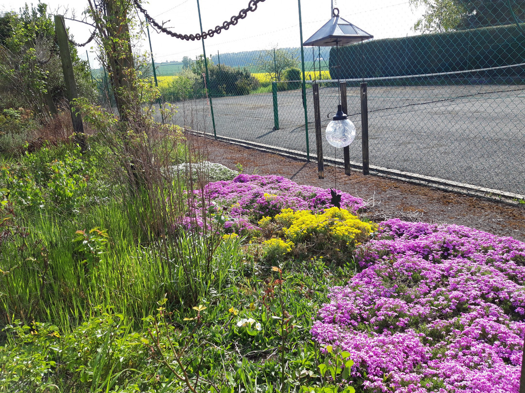 Nescliffe酒店住宿-Upper Eyton Farmhouse B&B