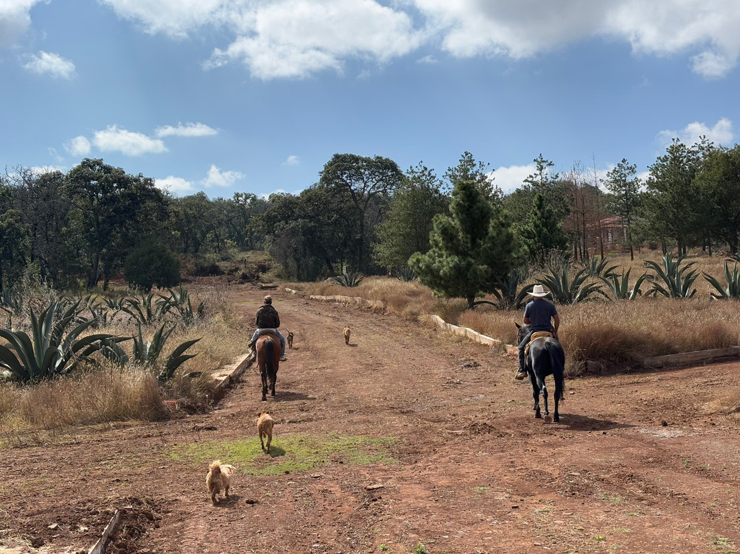 Caballos Huasca Tours-华斯卡德奥坎波必去景点