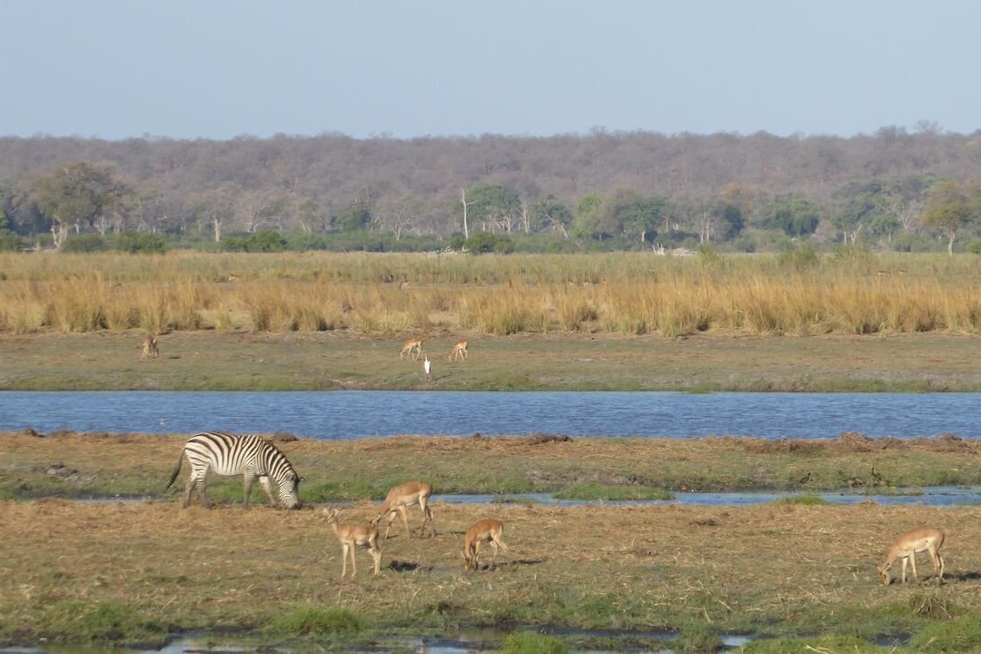Mahango Game Reserve-奥奇瓦龙戈必去景点