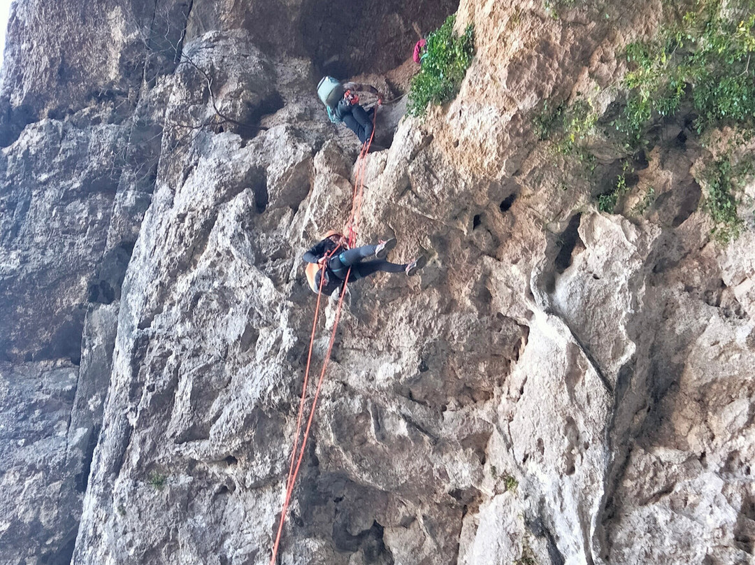 Rendez Vous Vertical景点图片