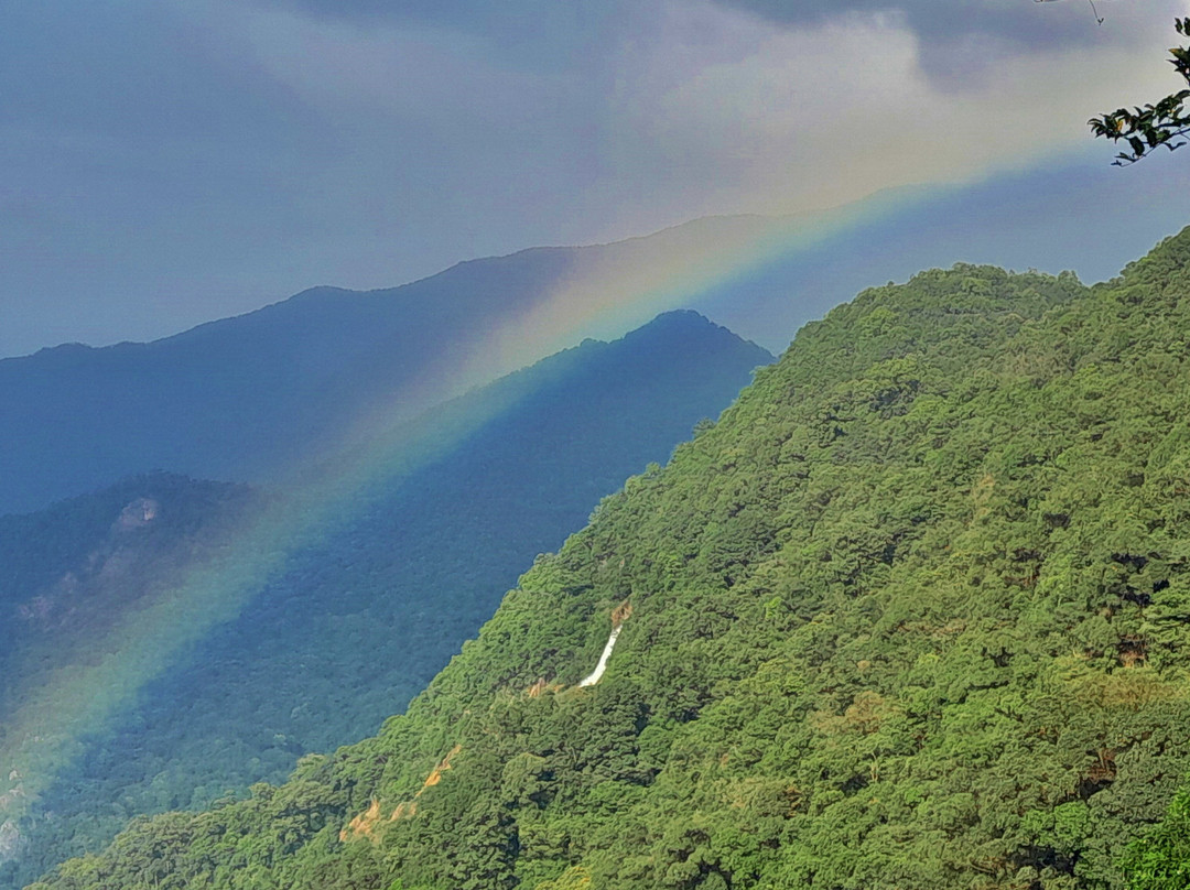 石门国家森林公园-从化市必去景点
