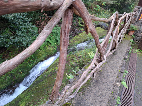 Into The Wild Madeira-里贝拉布拉瓦必去景点