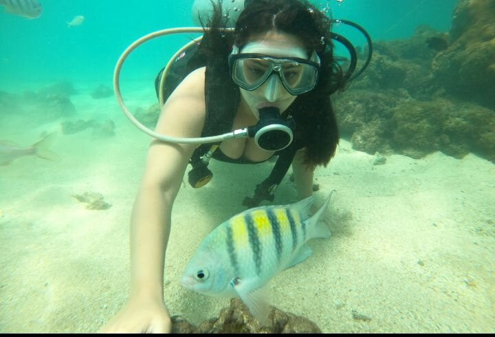 Deep Dive Adventures-嘎林海斯港必去景点