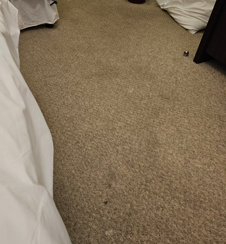 Maes Manor Hotel主图