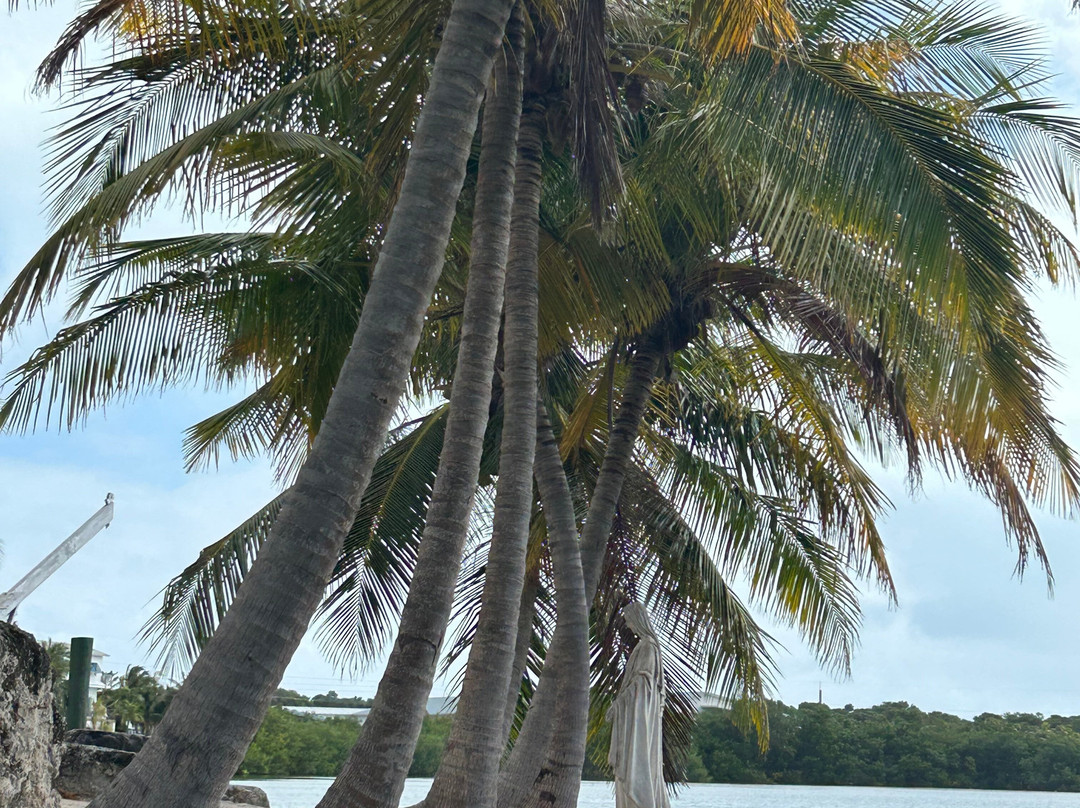 JSK Watersports-Tavernier必去景点