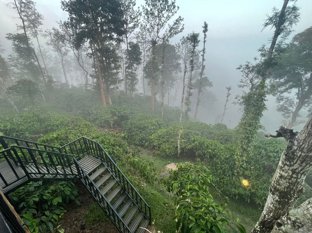 Coffee County Resort主图