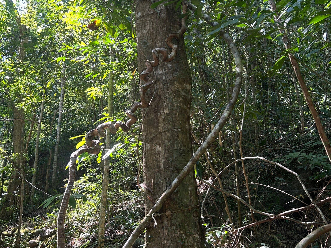 富国岛瀑布-芽明必去景点