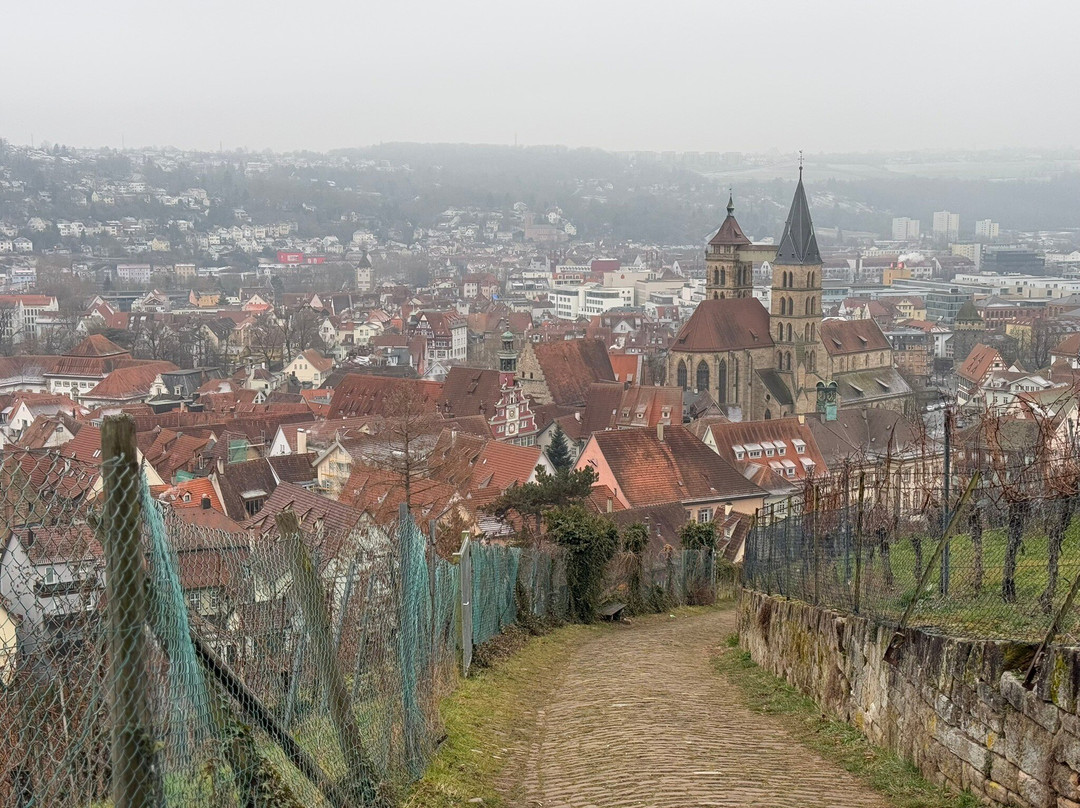 Esslinger Burg景点图片