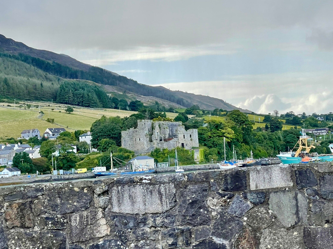 Carlingford Marina-Carlingford必去景点