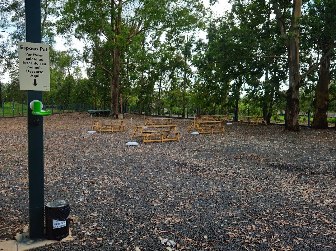 Pardinho Artesanal -