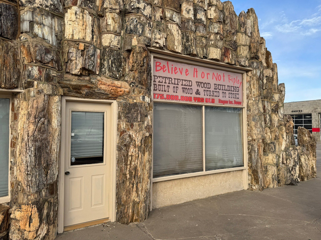 Petrified Wood Gas Station-Lamar必去景点