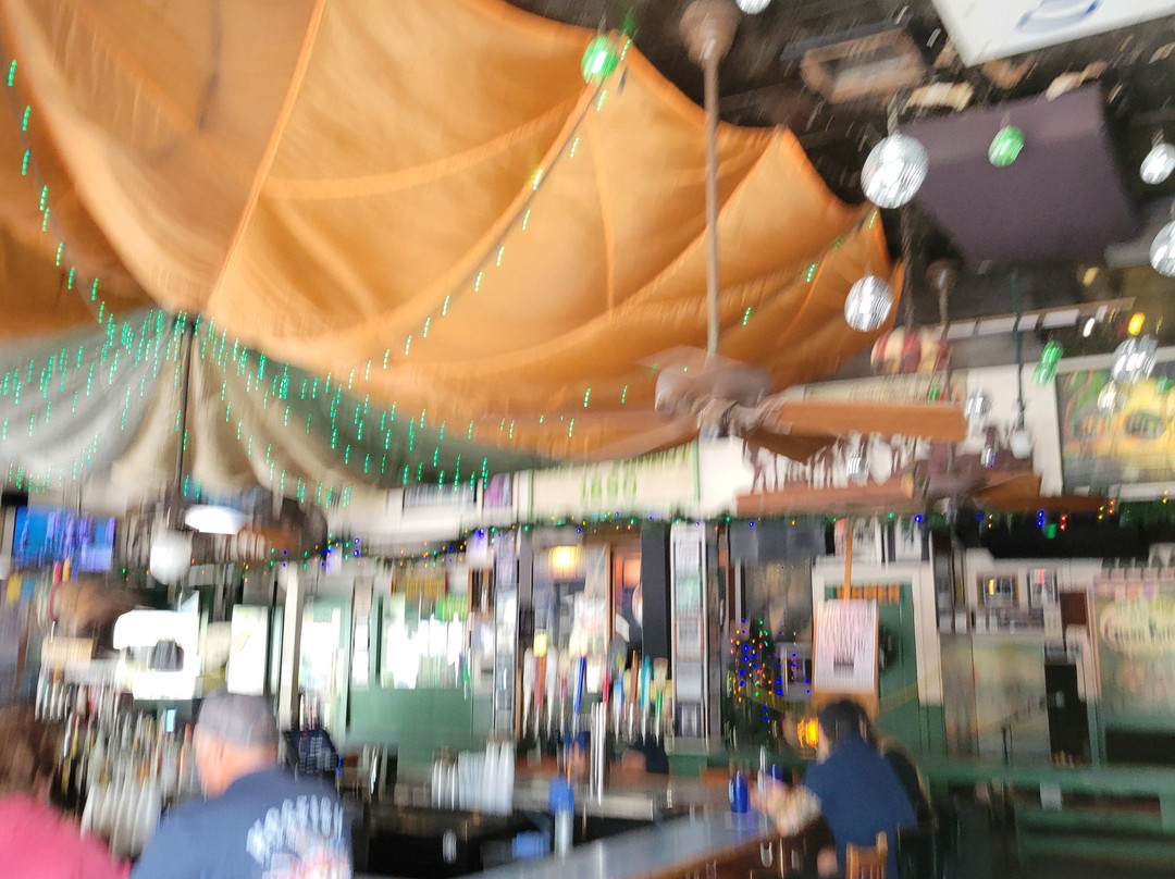 Green Parrot Bar-基韦斯特必去景点