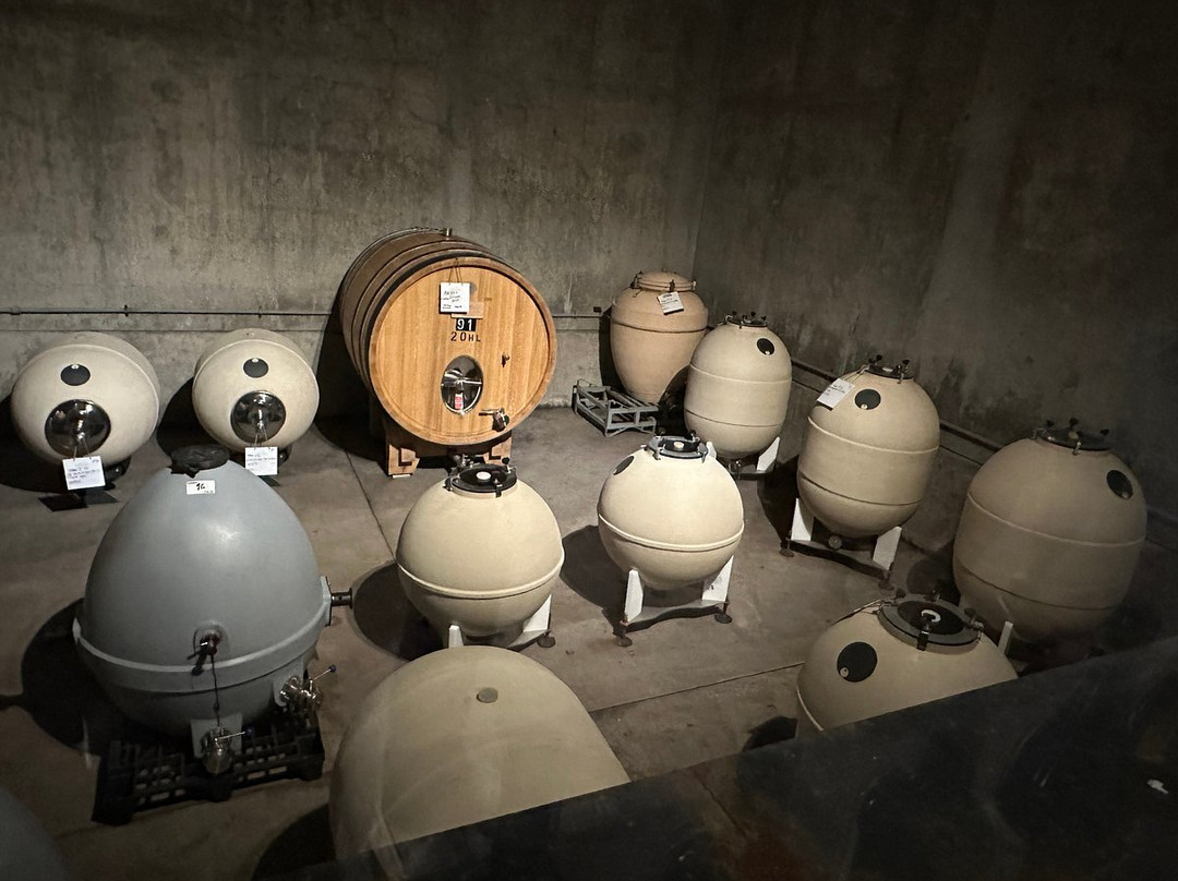 Borravino Wine Tours Spain-毕尔巴鄂必去景点