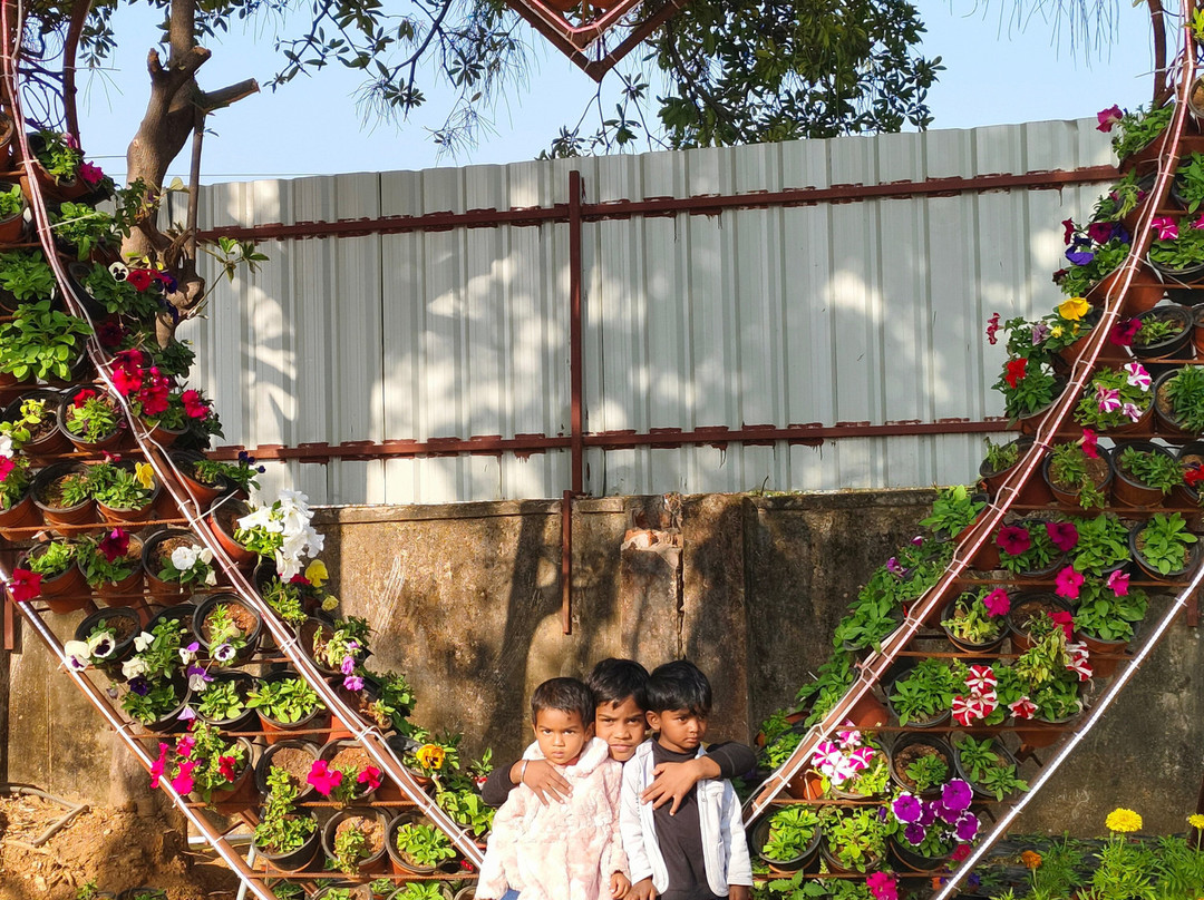 Wild Waadi Waterpark景点图片