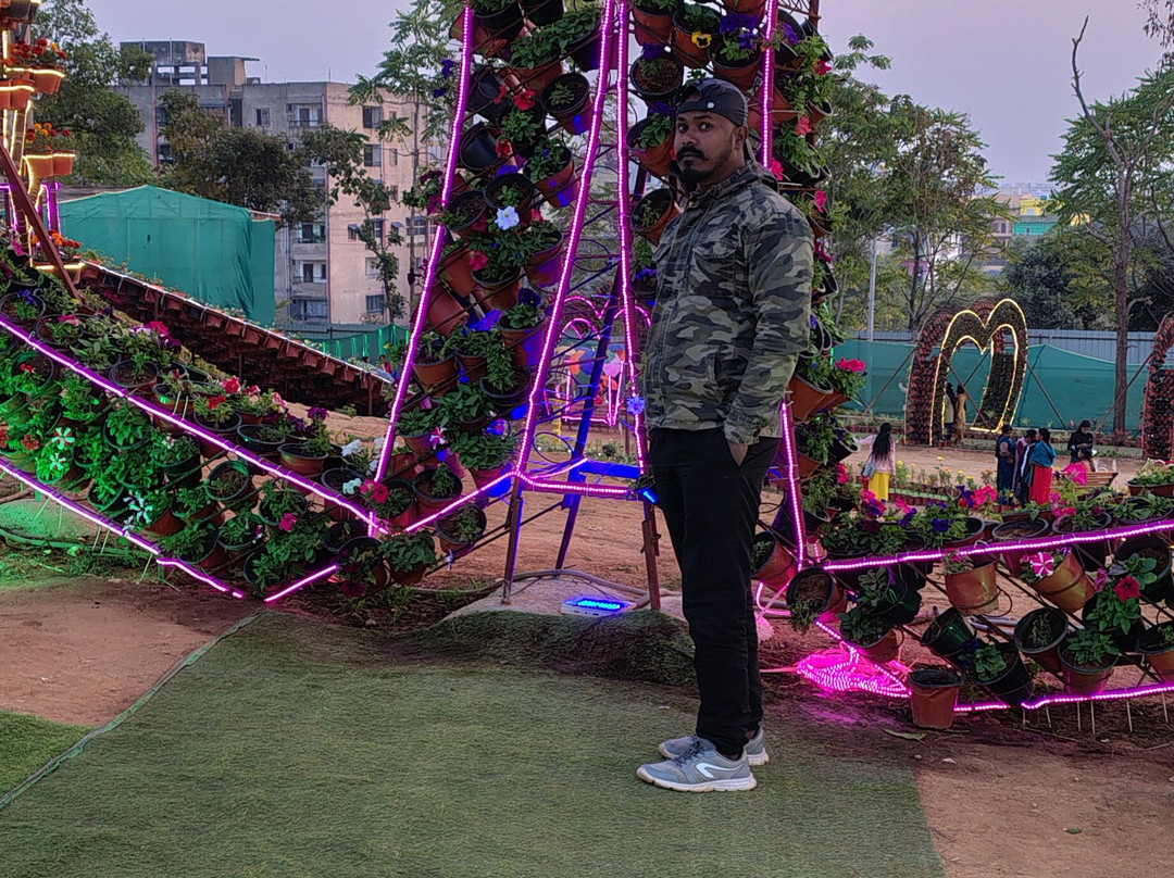 Wild Waadi Waterpark景点图片