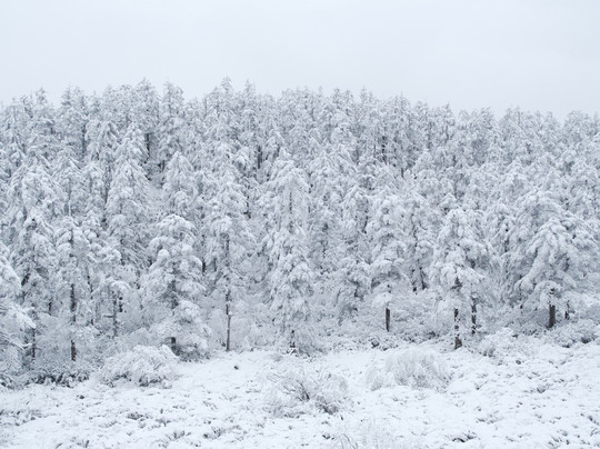 Hello China Trip-成都必去景点
