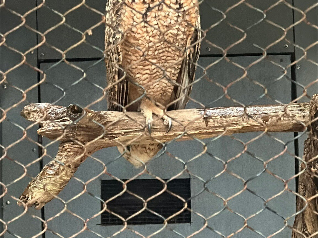 The Center For Birds Of Prey景点图片
