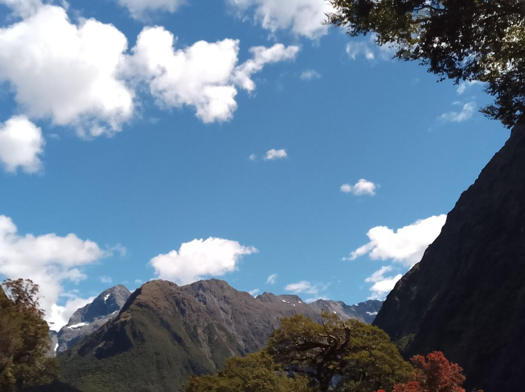 Milford Sound景点图片