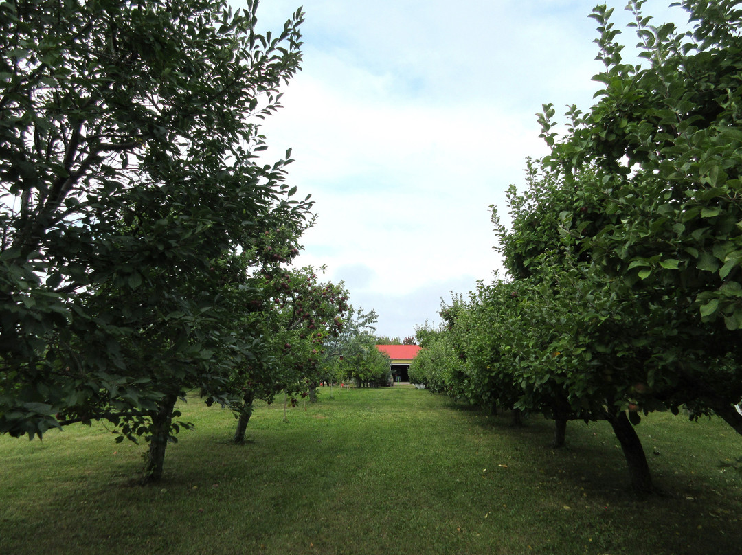 Les Vergers Du Cap-Cap-Saint-Ignace必去景点