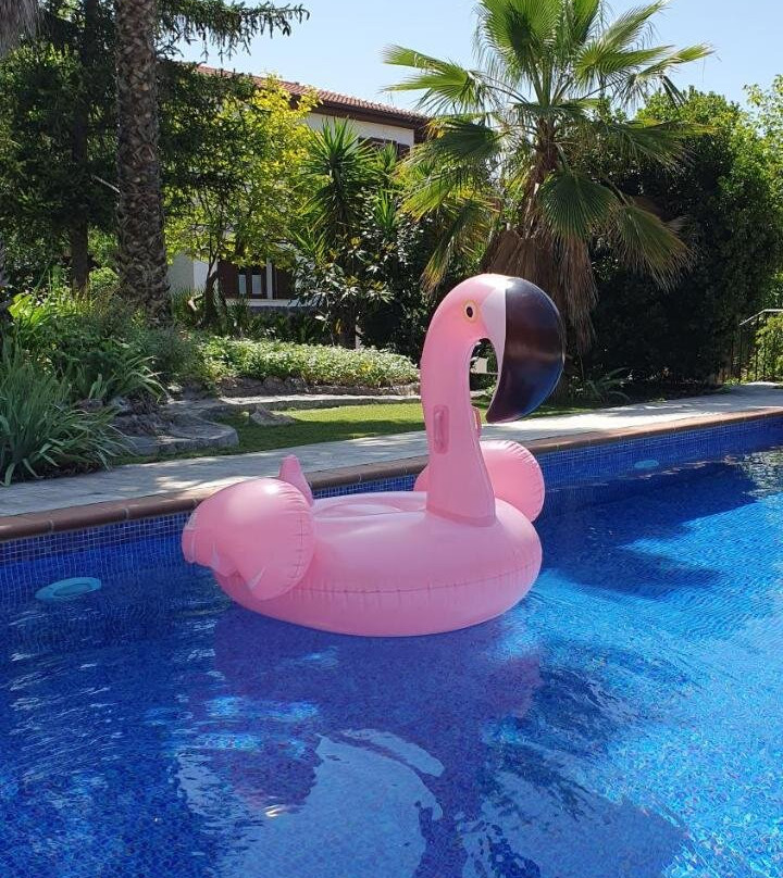 Casa Los Flamencos