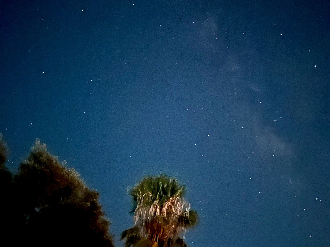 Riad Le Jardin des Orangers主图