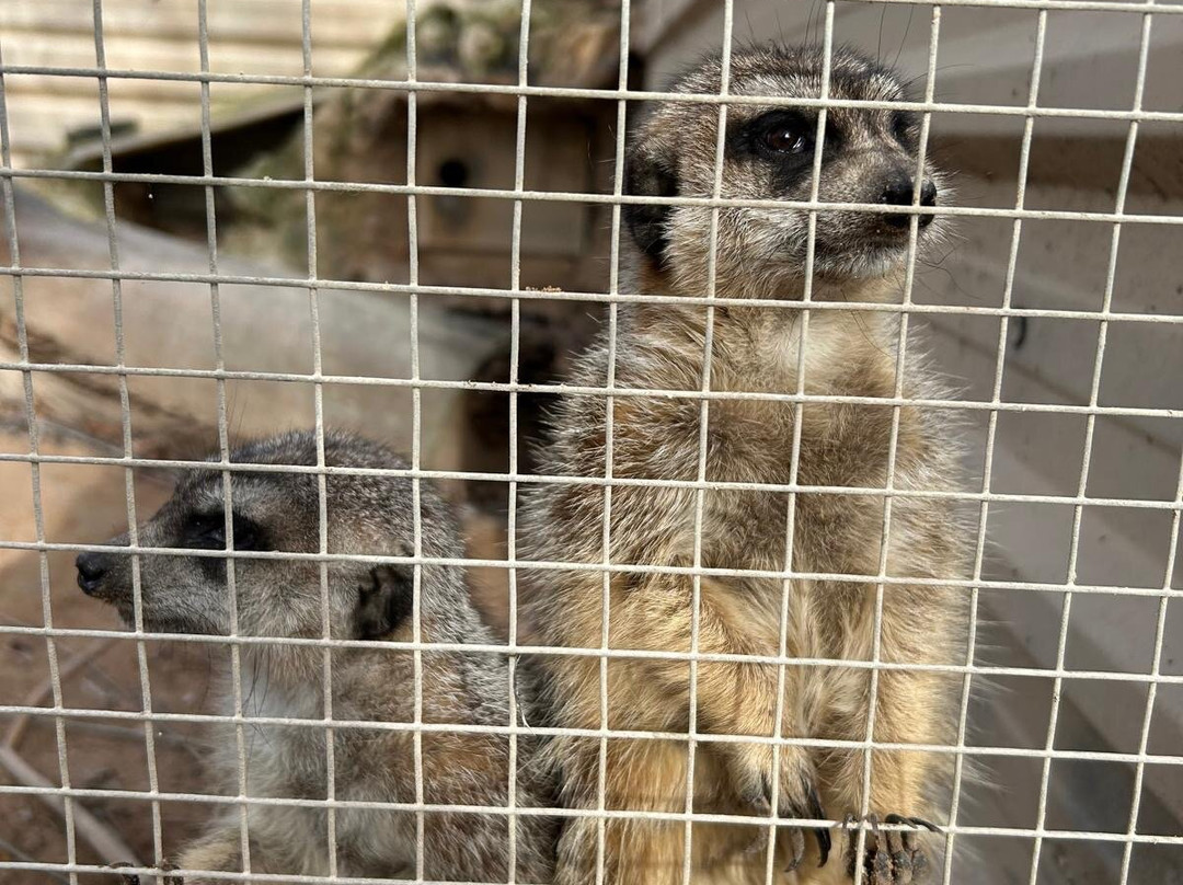 Núcleo Zoológico Iris-Barbastro必去景点