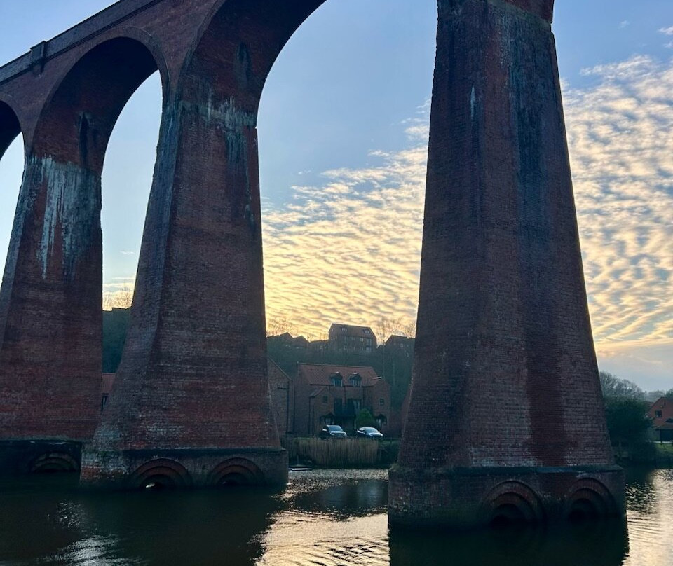 The Shepherd's Purse主图