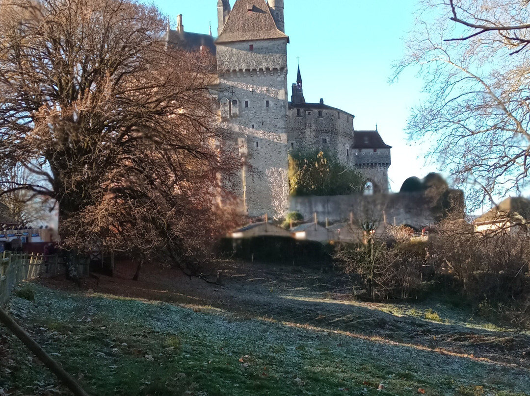 Château De Menthon-saint-bernard景点图片