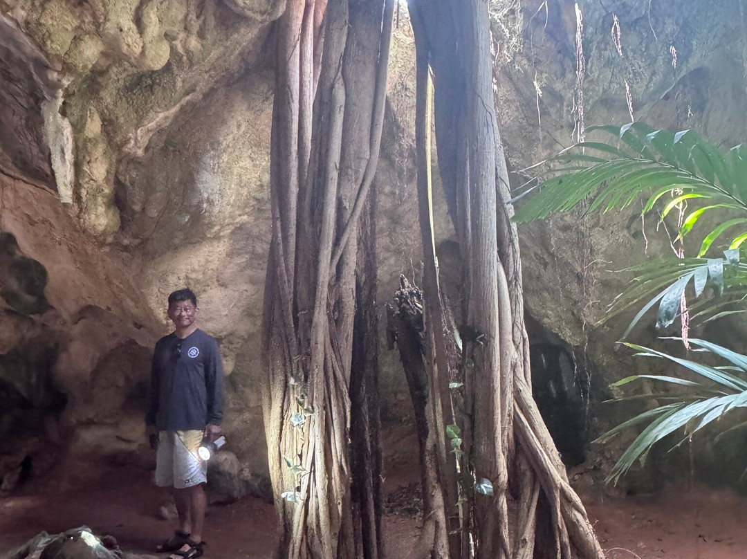 Hamilton's Cave Tours-长岛必去景点