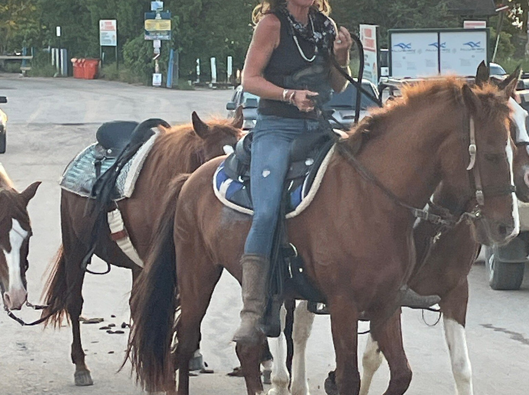 Horseback Rides by Pintos R Us-吕康必去景点