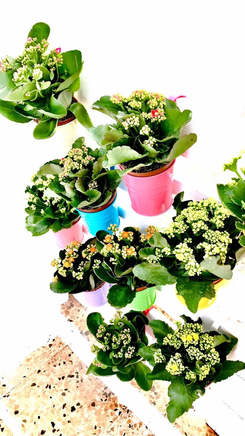 Tenuta Don Vittorio B&B-家庭/游戏区