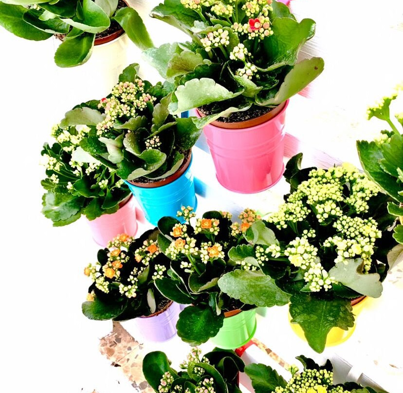 Tenuta Don Vittorio B&B主图