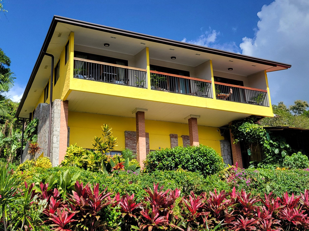 The Golden Frog Inn主图