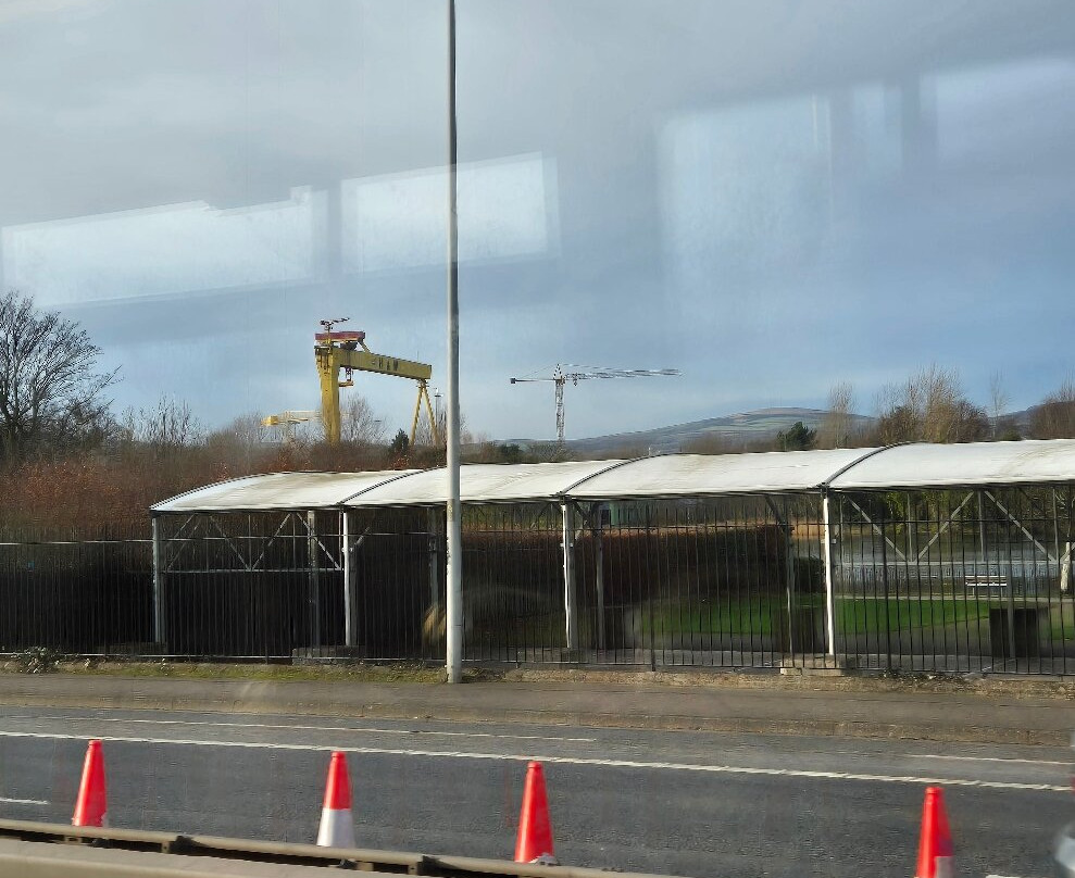 Samson & Goliath cranes景点图片