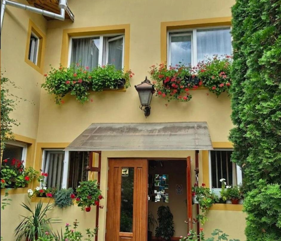 B&B Dumbrava
