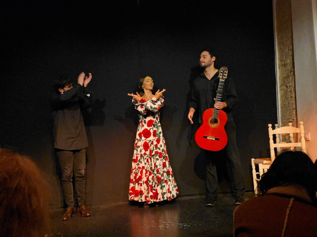 Tablao Flamenco La Exclusiva-塞维利亚必去景点