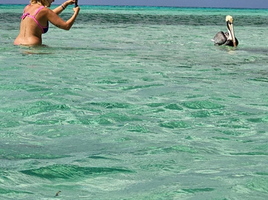 Eco Excursioning-考祖梅必去景点