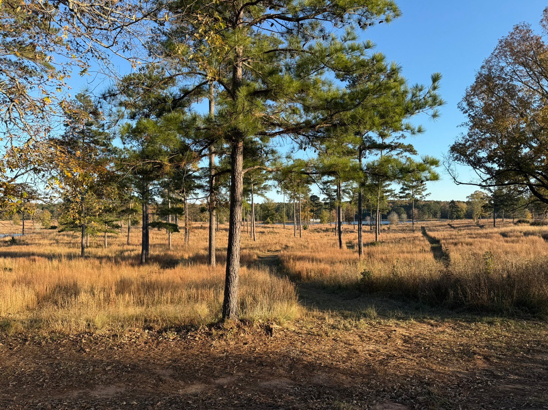 Orvis Hill Country Shooting Grounds-Fairfield必去景点